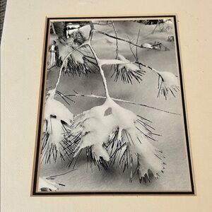 Ansel Adams Pine Branches Art Print